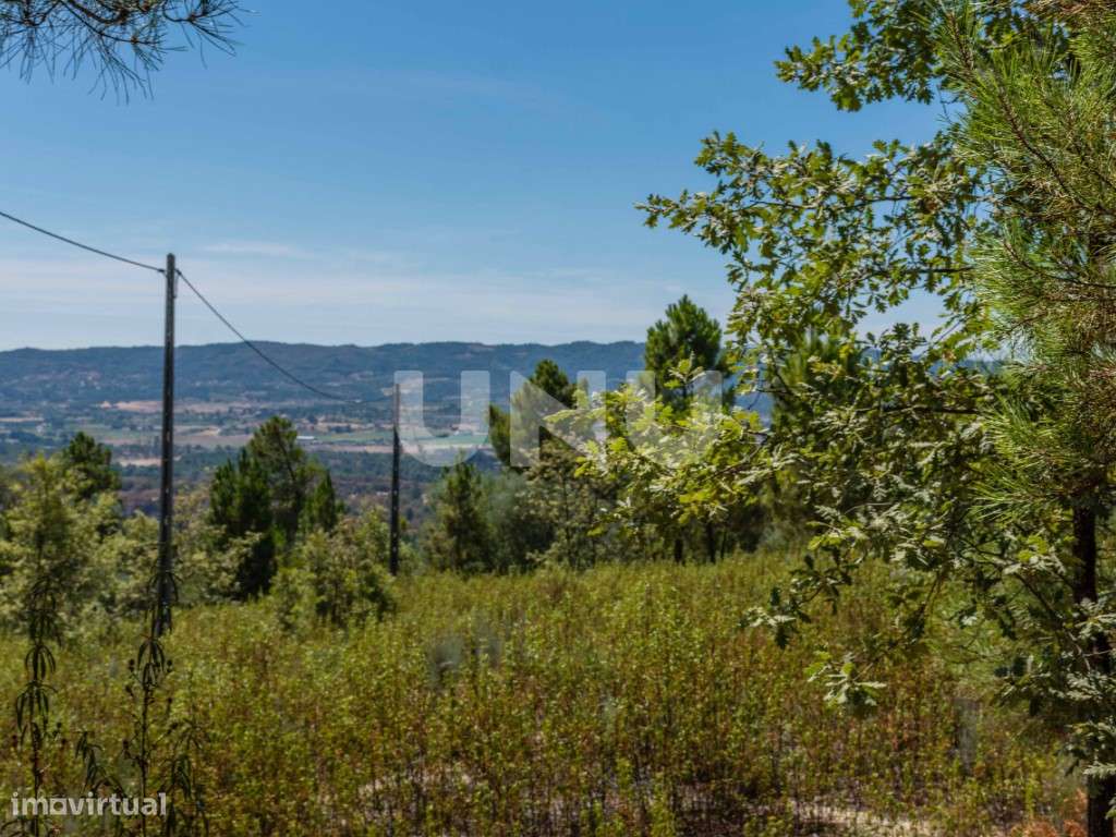 Terreno rústico para venda, Teixoso, Covilhã! - Grande imagem: 5/6