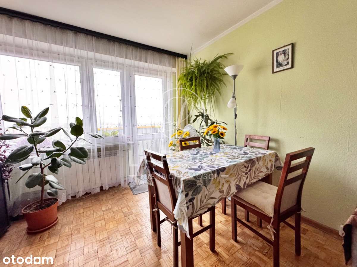 Mieszkanie 2 pokoje, winda, Ostrołęka . - Pełny obrazek: 1/10