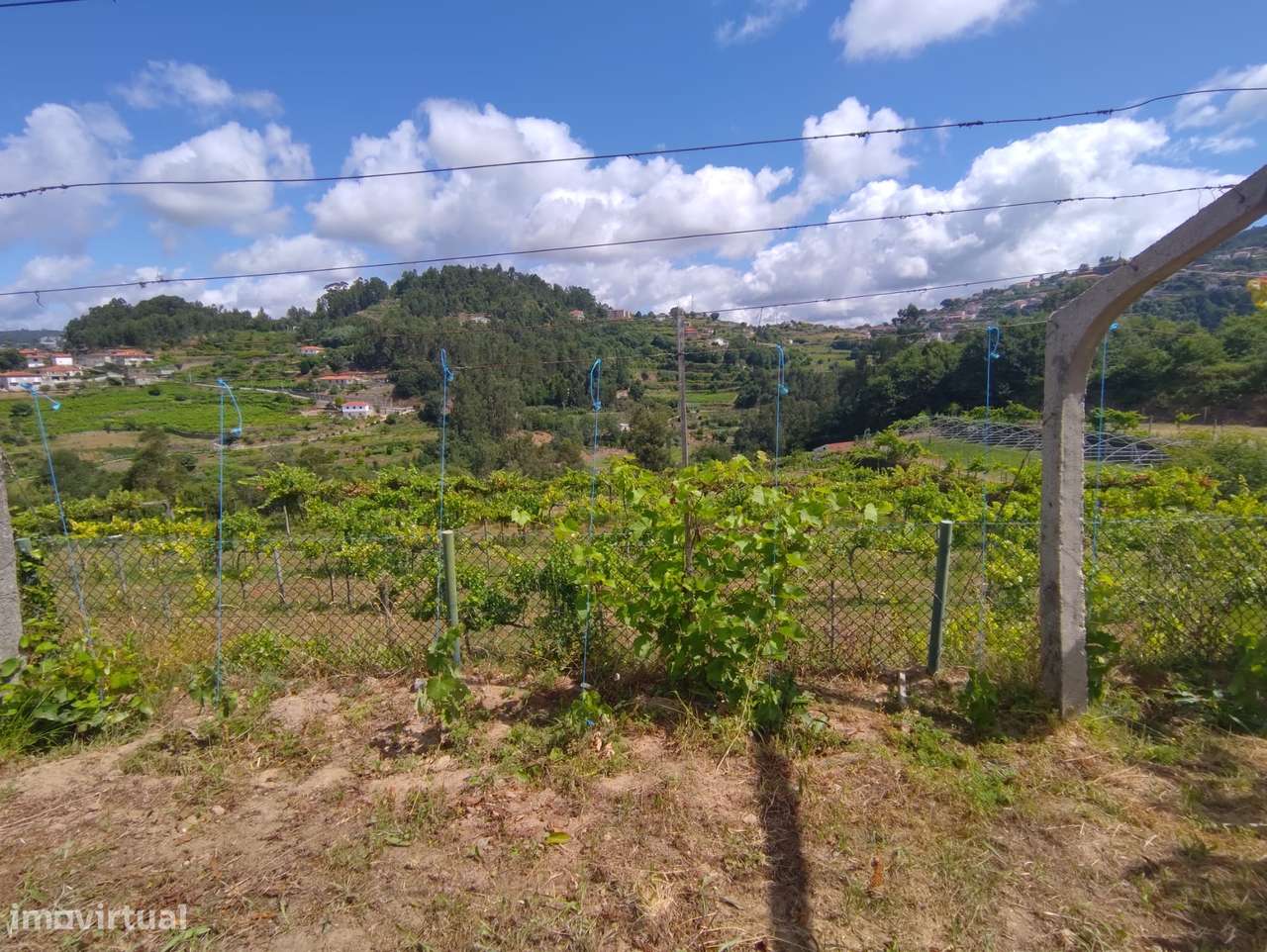 Quinta T7 Venda em Fornos,Castelo de Paiva-12