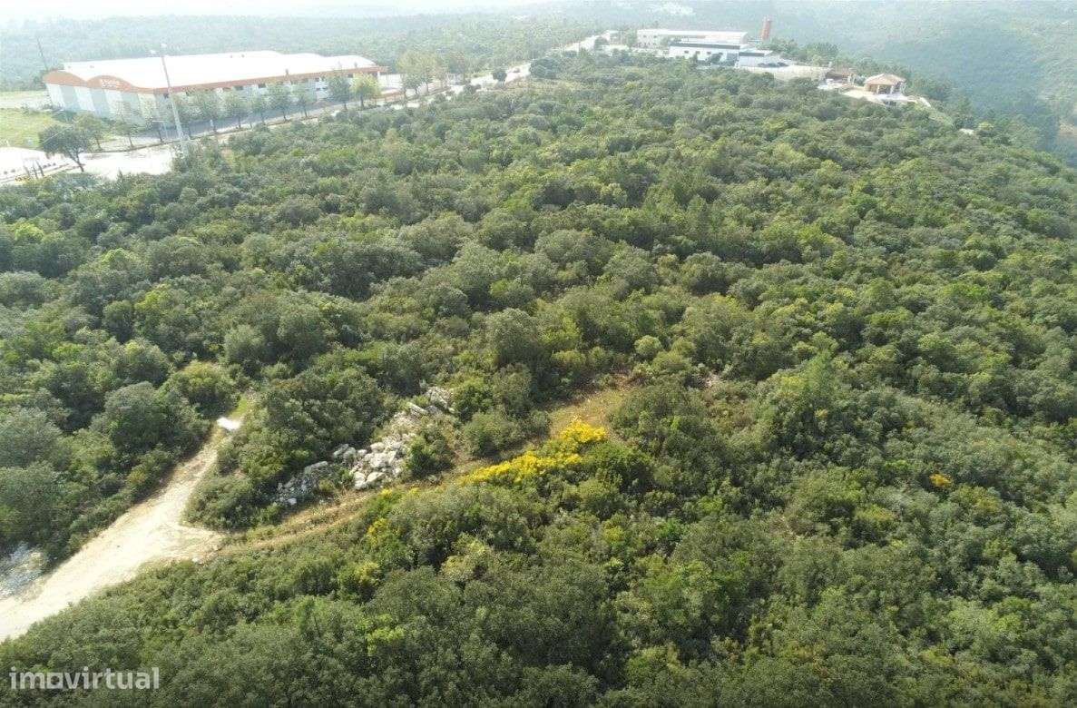 Terreno Rústico na preferia da fantástica Cidade de Fátima - Grande imagem: 2/6