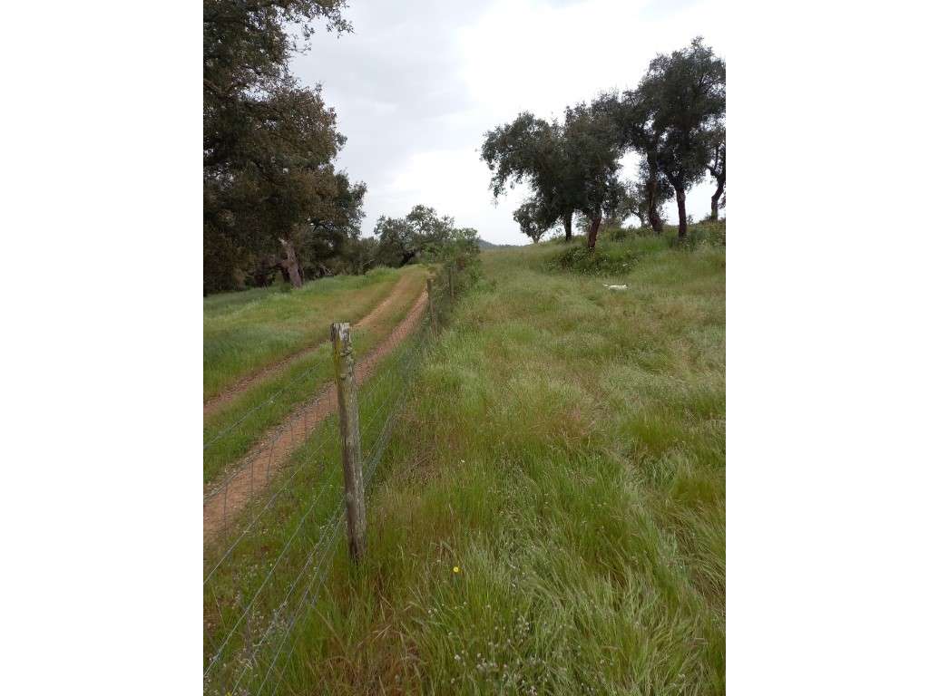 Monte Alentejano - Grândola-13