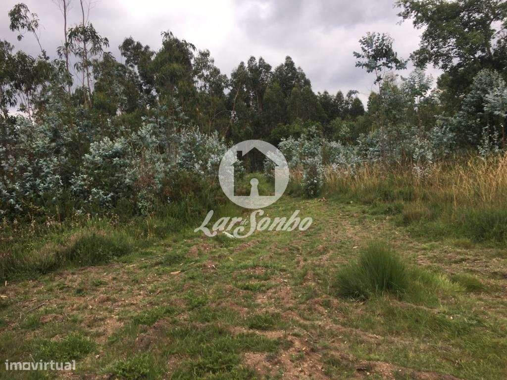 Terreno de construção com 9.500 m2 - São Romão do Coronado, Trofa - Grande imagem: 4/5