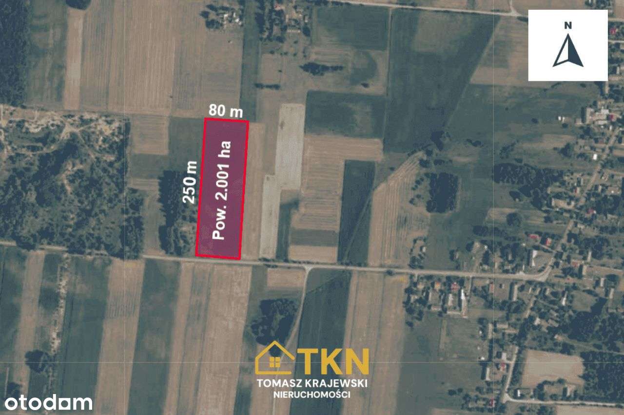 Działka budowlano-rolna 2 ha, Lipiny, gm-1