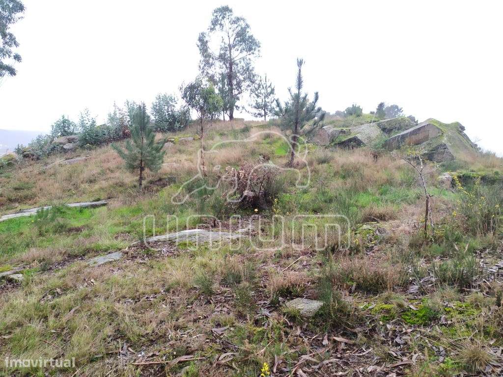 Terreno em Cardielos - Grande imagem: 2/7