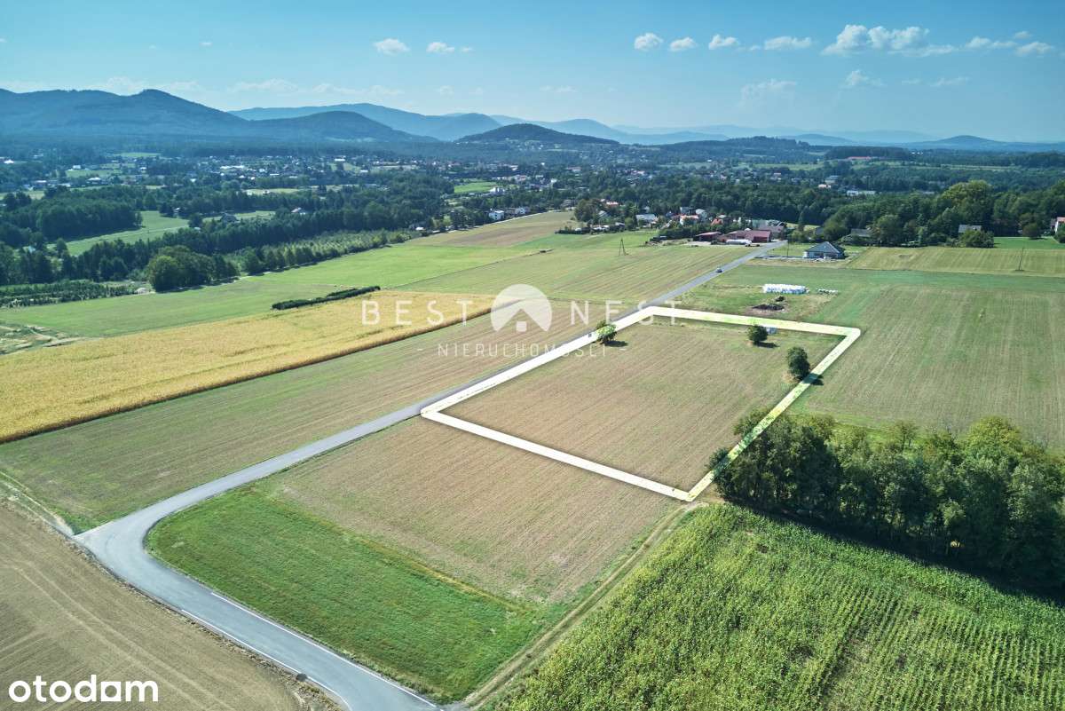 Atrakcyjne działki w Jasienicy, pod wymarzony dom - Pełny obrazek: 4/6