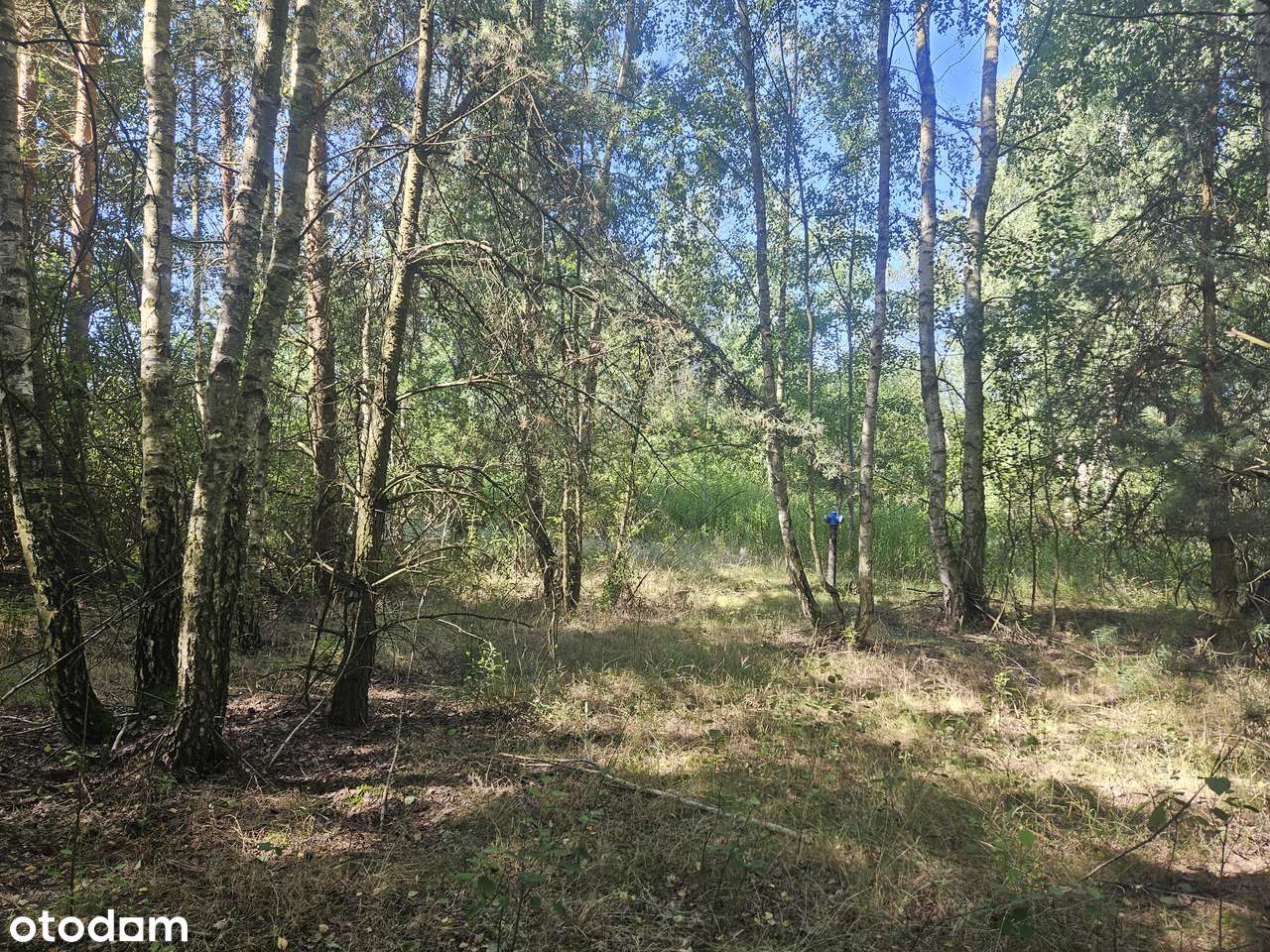 POLECAMY sprzedaż działki budowlanej w Chwałowicach-10
