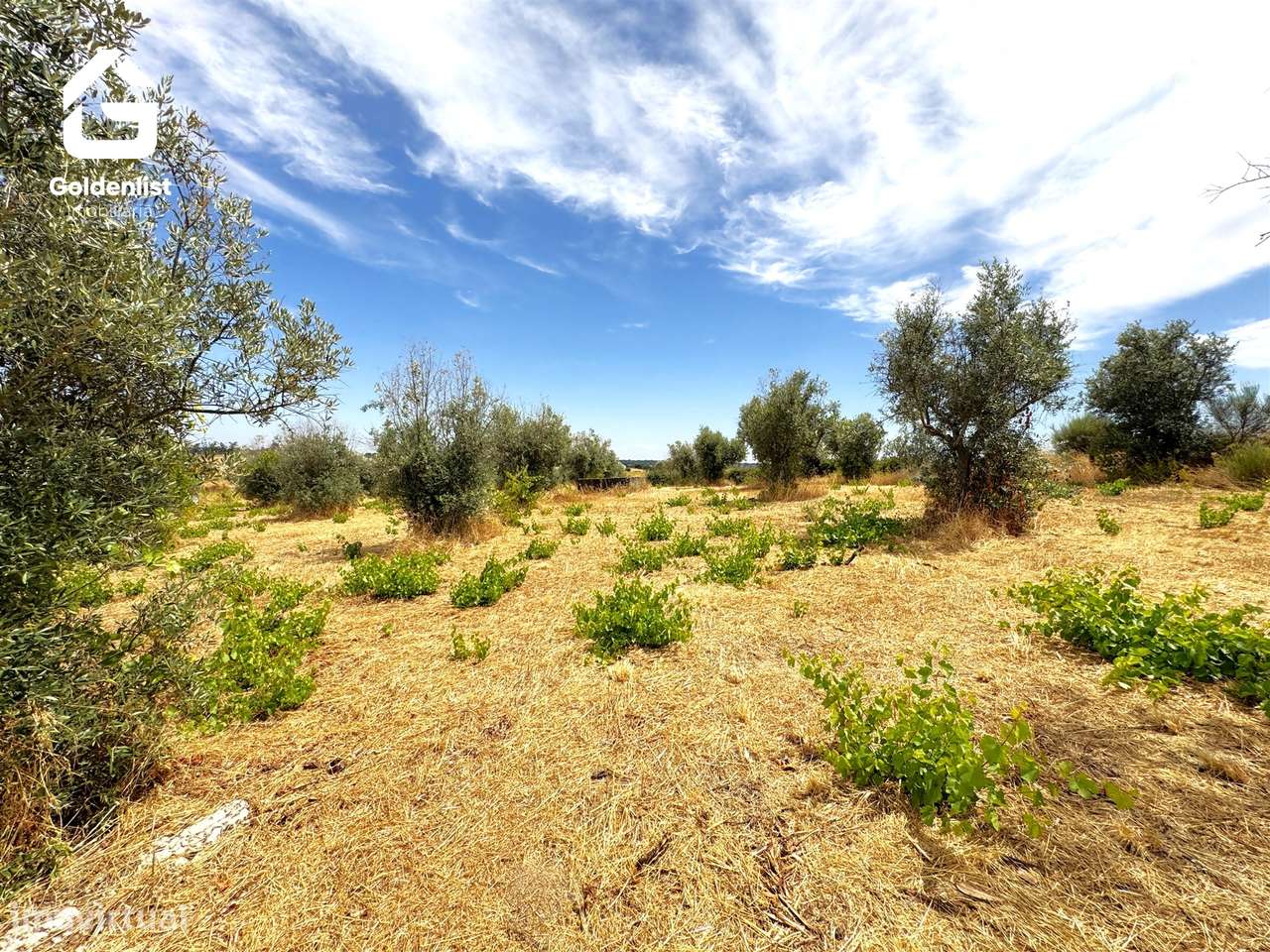Quintinha  Venda em Escalos de Cima e Lousa,Castelo Branco-29