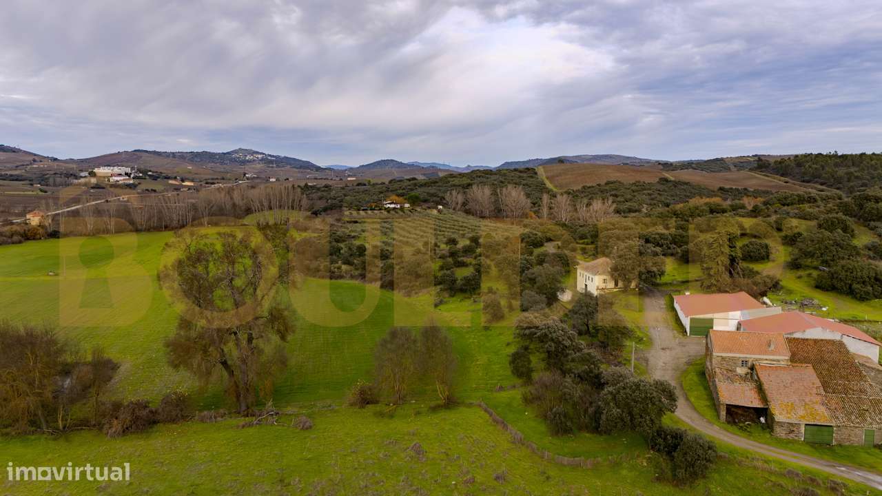 Quinta do Arieiro - Cedovim | Vila Nova de Foz Côa | Douro Superior-32