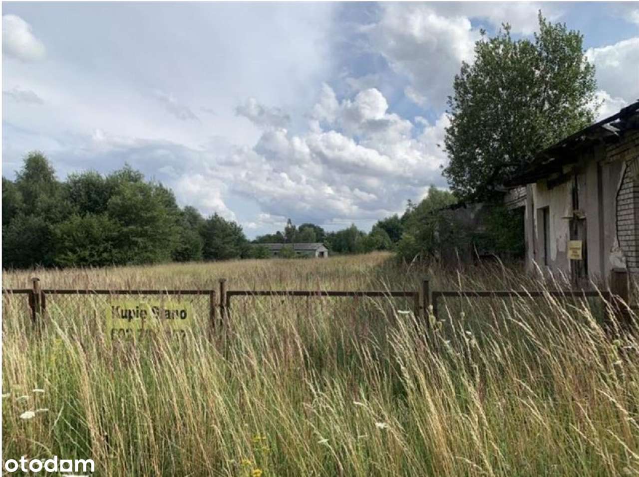 Działka 32096 m2 zabudowana budynkami gospodarczymi LICYTACJA - Pełny obrazek: 4/8