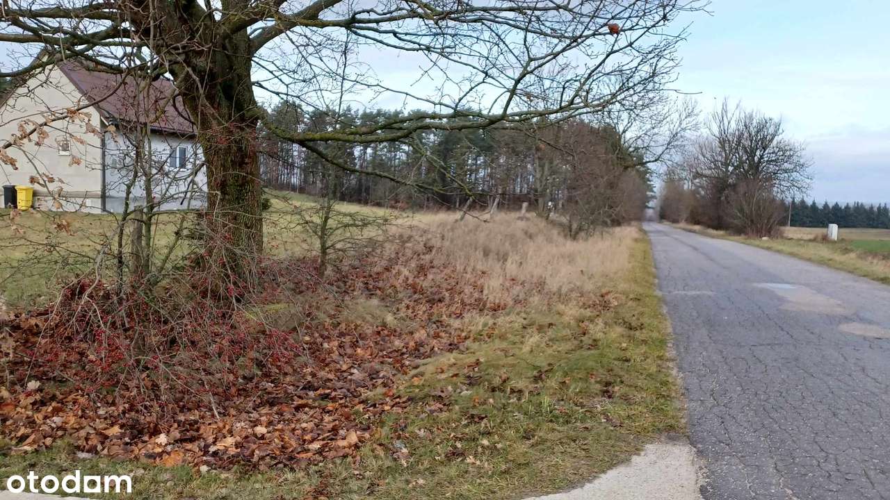 Działka z WZ na Mazurach w Probarku-2