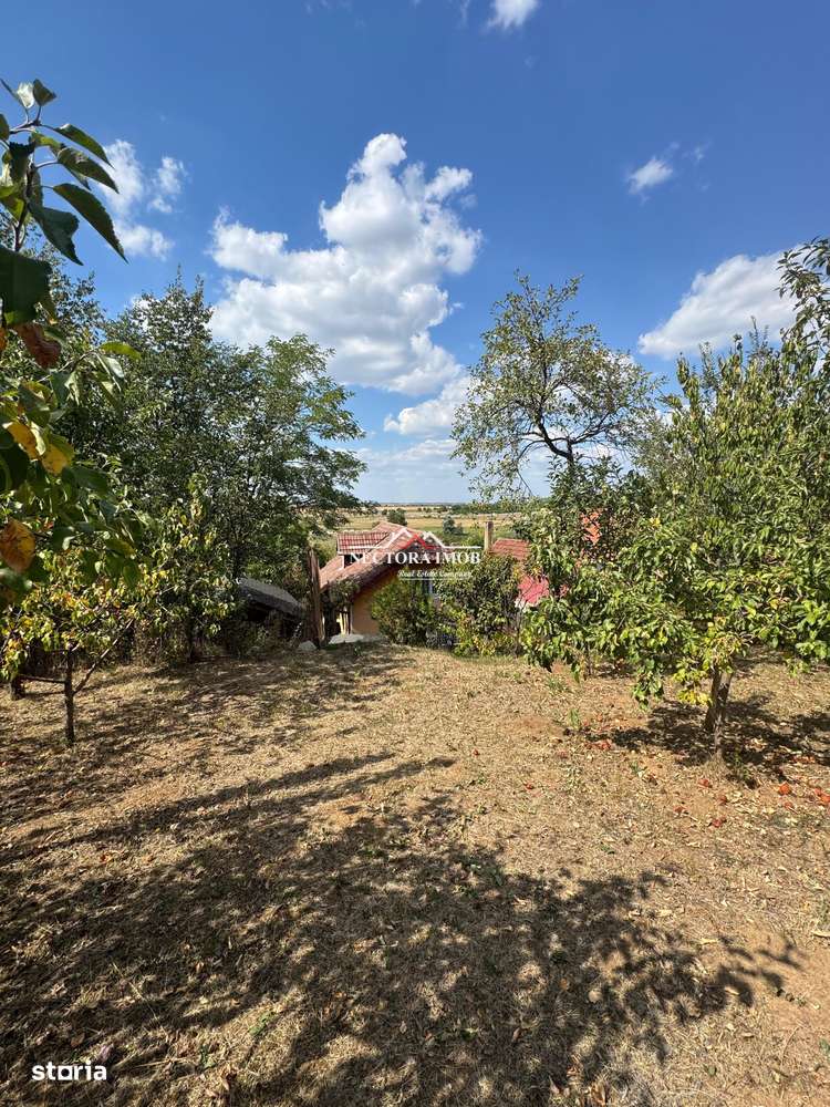 NECTORA IMOB-Casa cu etaj, mobilata, utilata, Episcopia, cu livada-3