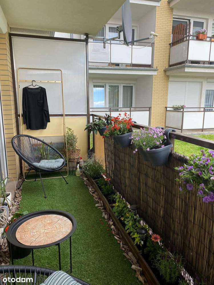 Oferta dostępna tylko w naszym biurze - Pełny obrazek: 3/9