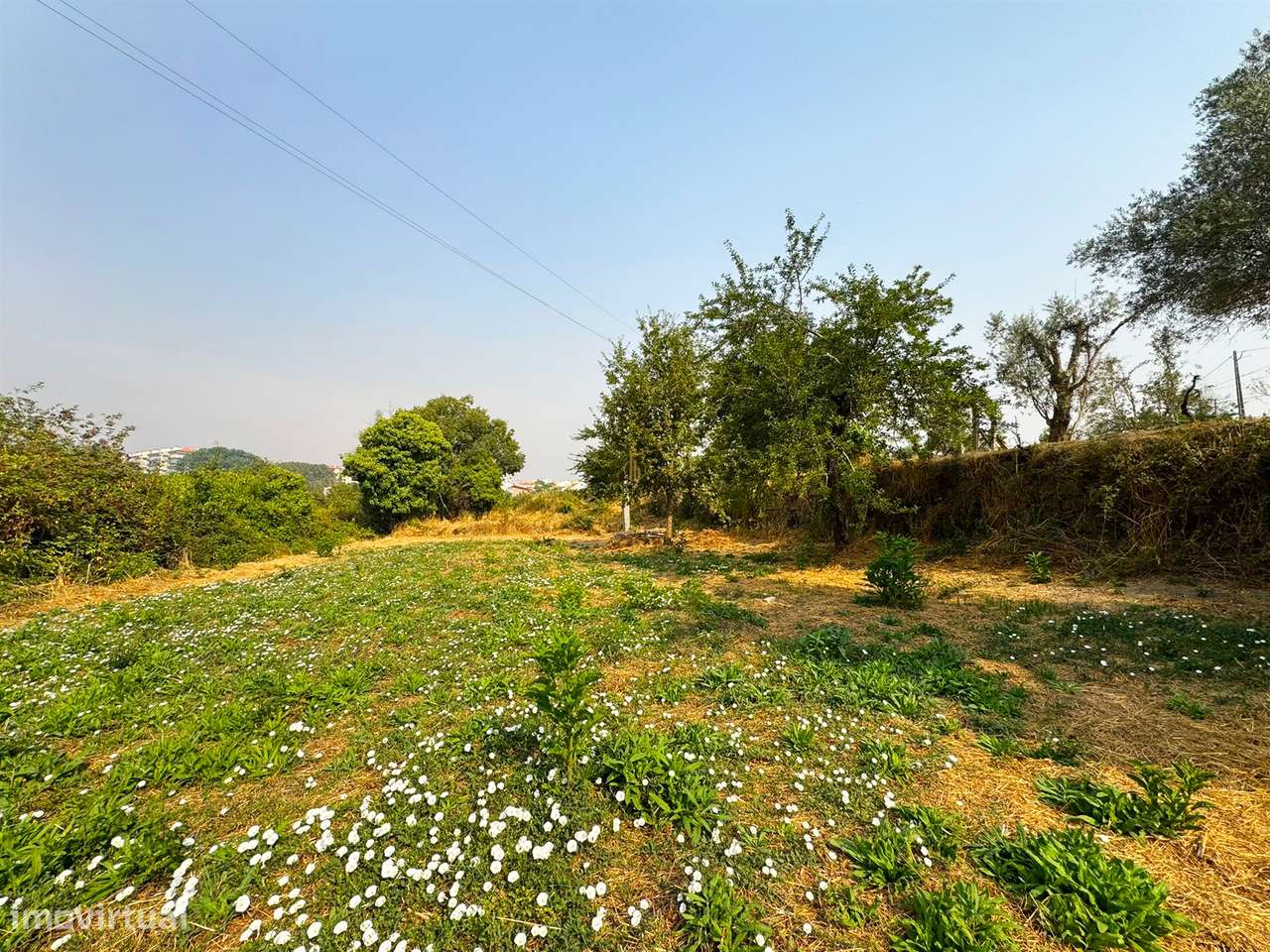 Terreno Rústico  Venda em Repeses e São Salvador,Viseu - Grande imagem: 5/6