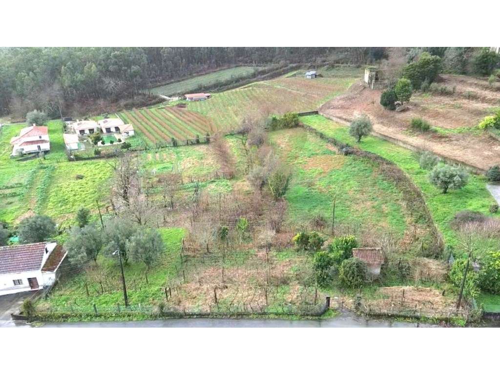 Terreno 6.280 m² para Construção com Possibilidade de Várias Moradi... - Grande imagem: 4/8