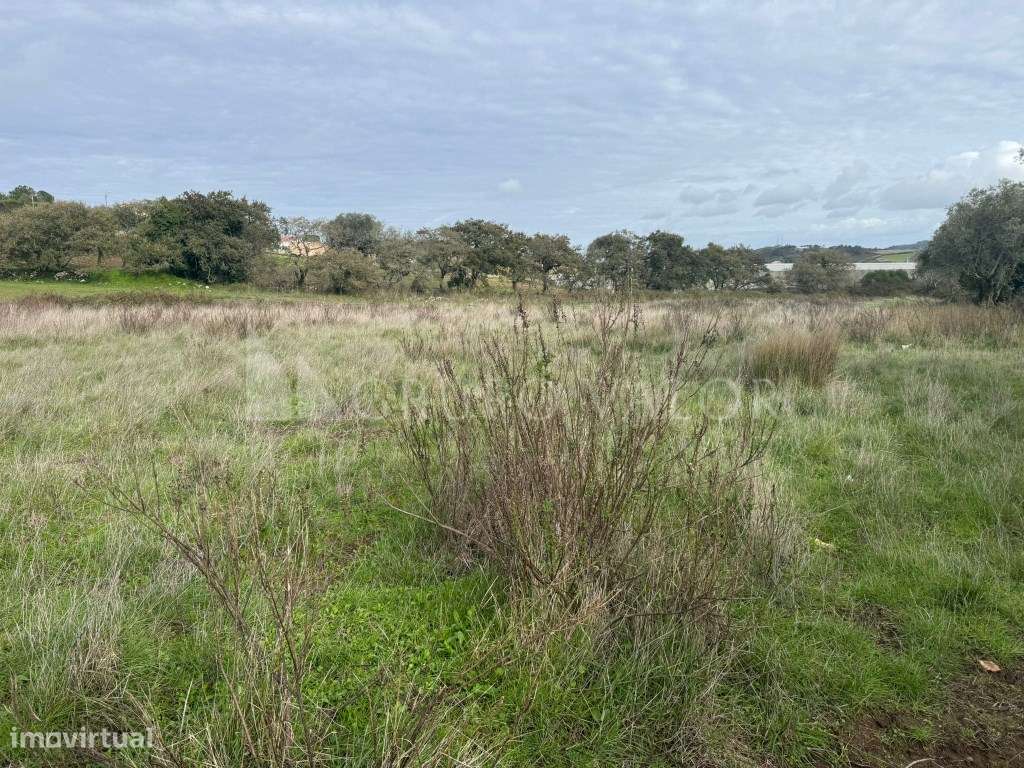 Terreno com 4220m2, em Almornos, Almargem do Bispo-7