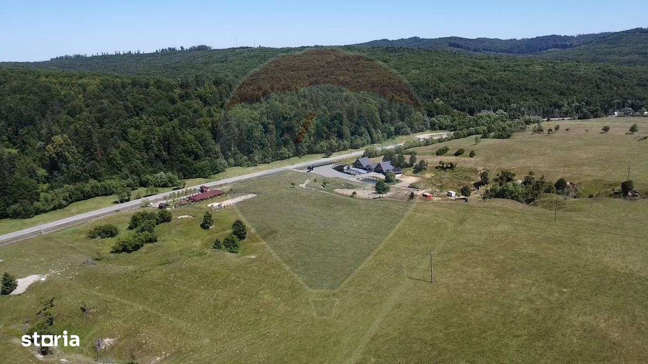 Teren 5,561mp Paltinoasa / Strada principala - Imagine principală: 5/20