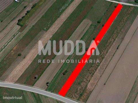 Terreno Rústico, Cacia, Aveiro - Grande imagem: 2/6