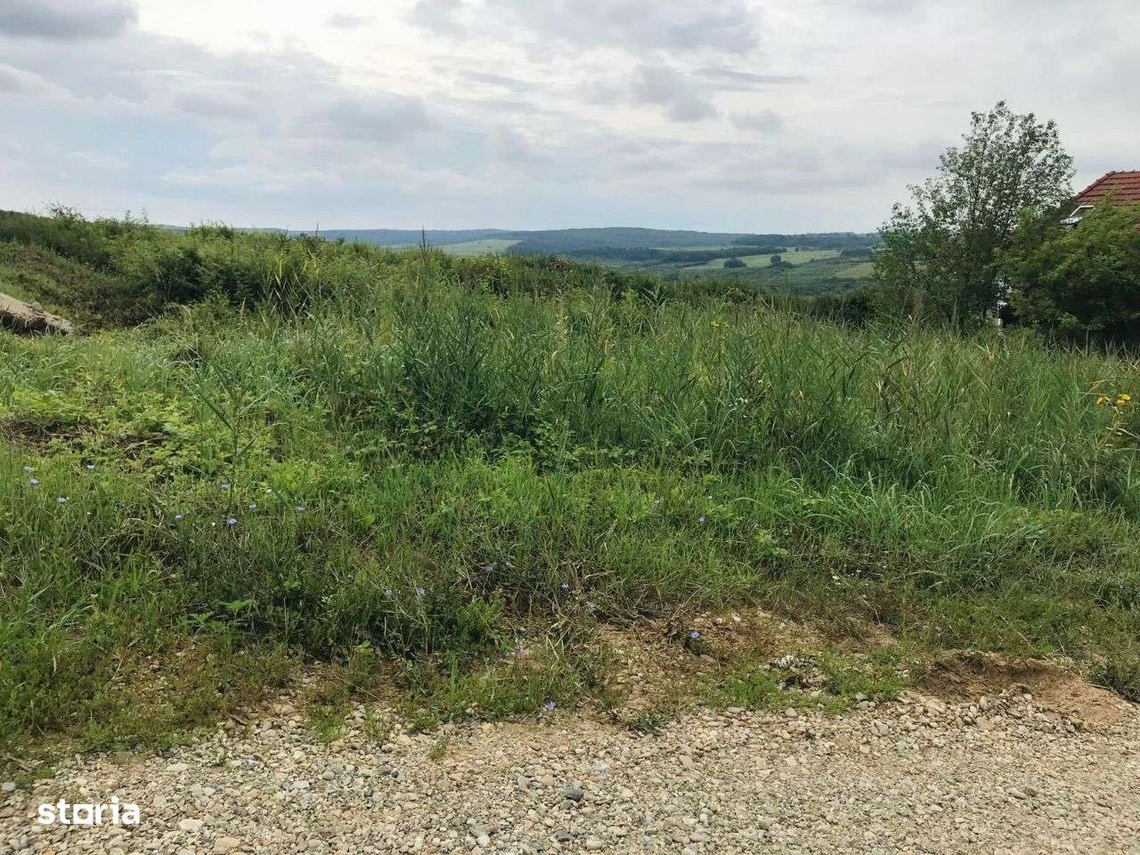 Teren intravilan de vanzare, in Paleu, 504 metri pătrați! - Imagine principală: 3/5