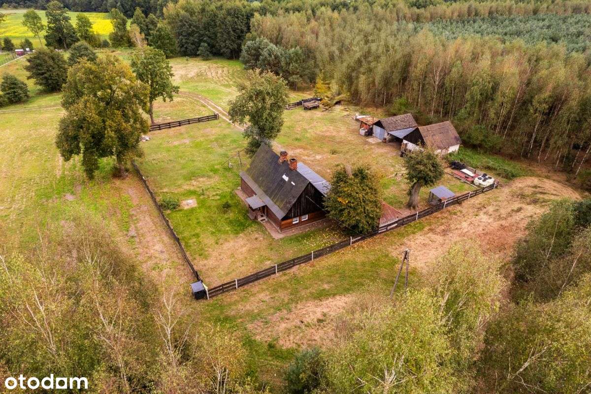 Siedlisko w m. Boruja Nowa-13