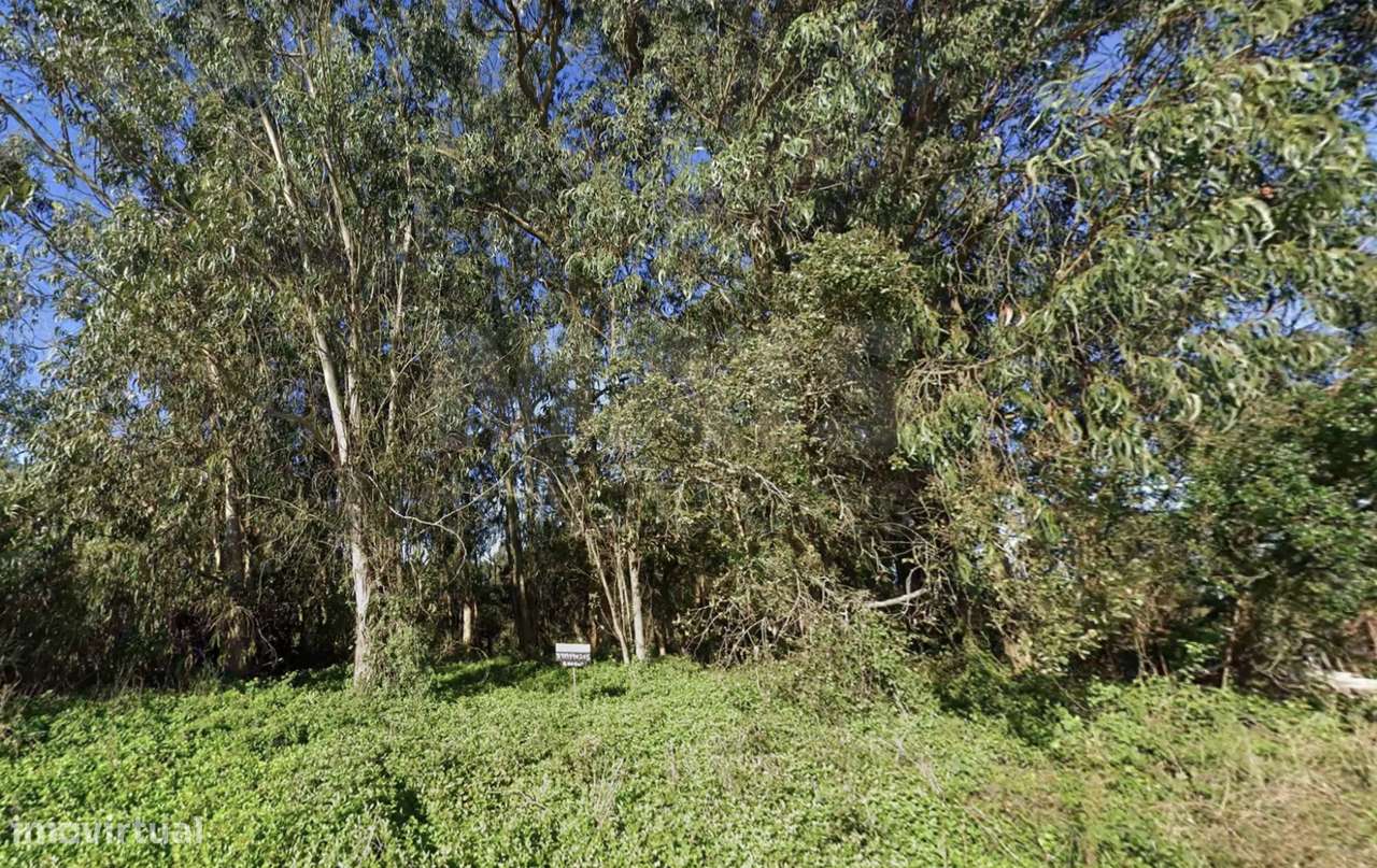 Terreno para construção de Moradias - Grande imagem: 3/4