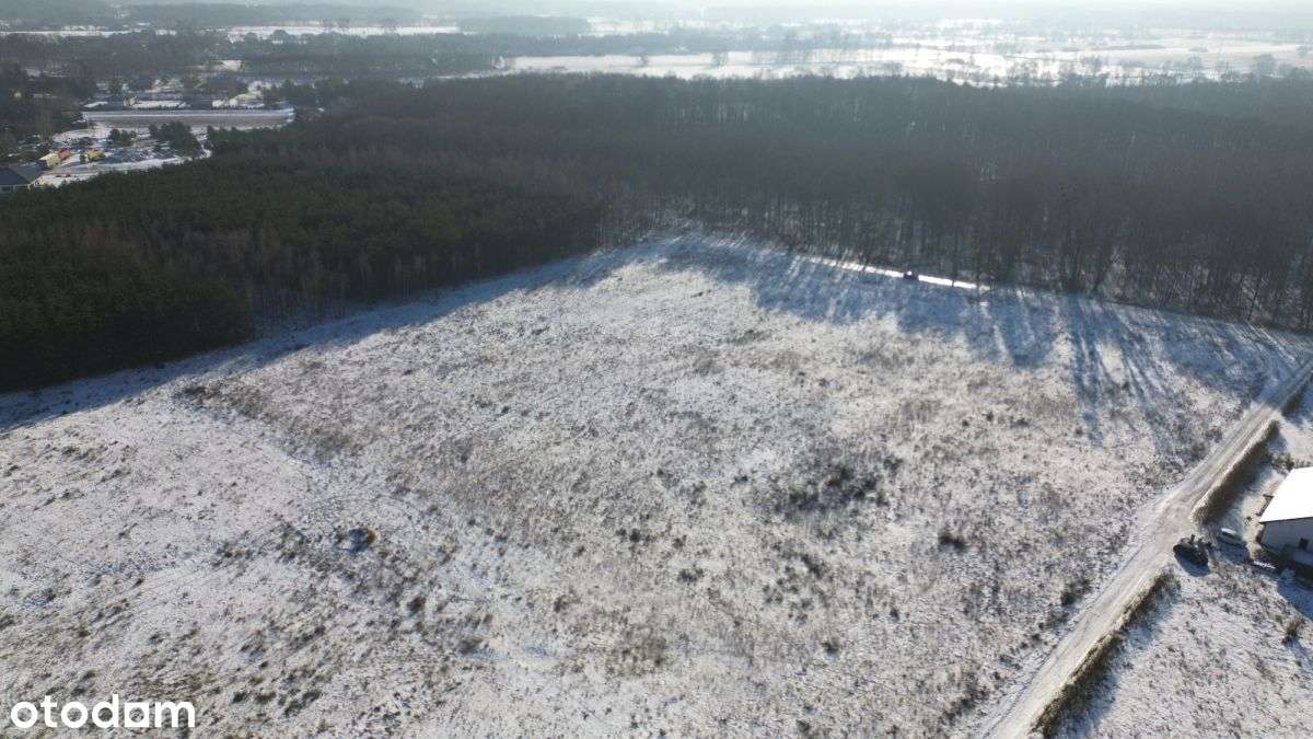 Zamieszkaj przy samym lesie w Zamku Bierzgłowskim - Pełny obrazek: 3/13