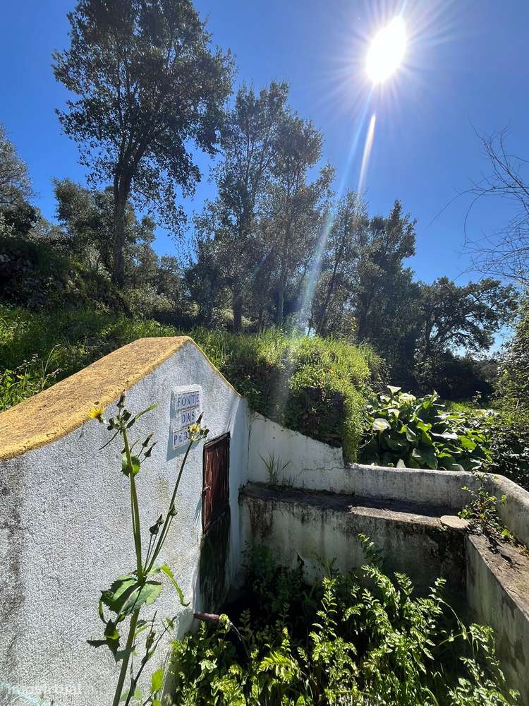 Moradia para Restaurar T3 Venda em Santiago de Montalegre,Sardoal-6