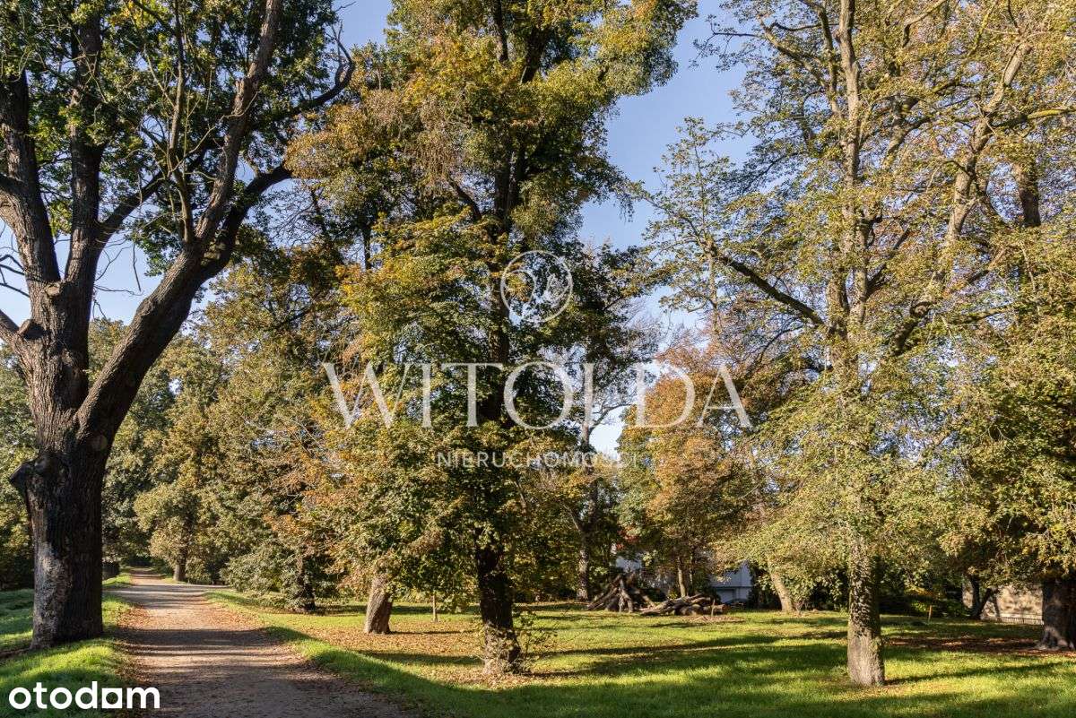 Dom z duszą na Biskupinie - ul. Braci Gierymskich-10