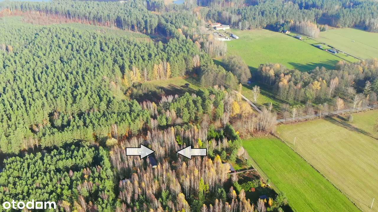 Piasutno. Działka rekreacyjna-19