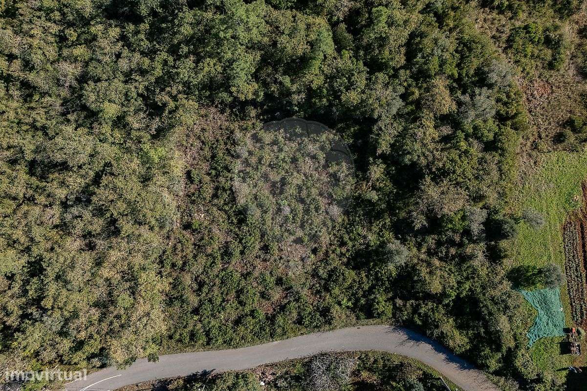 Terreno  para venda - Grande imagem: 4/29