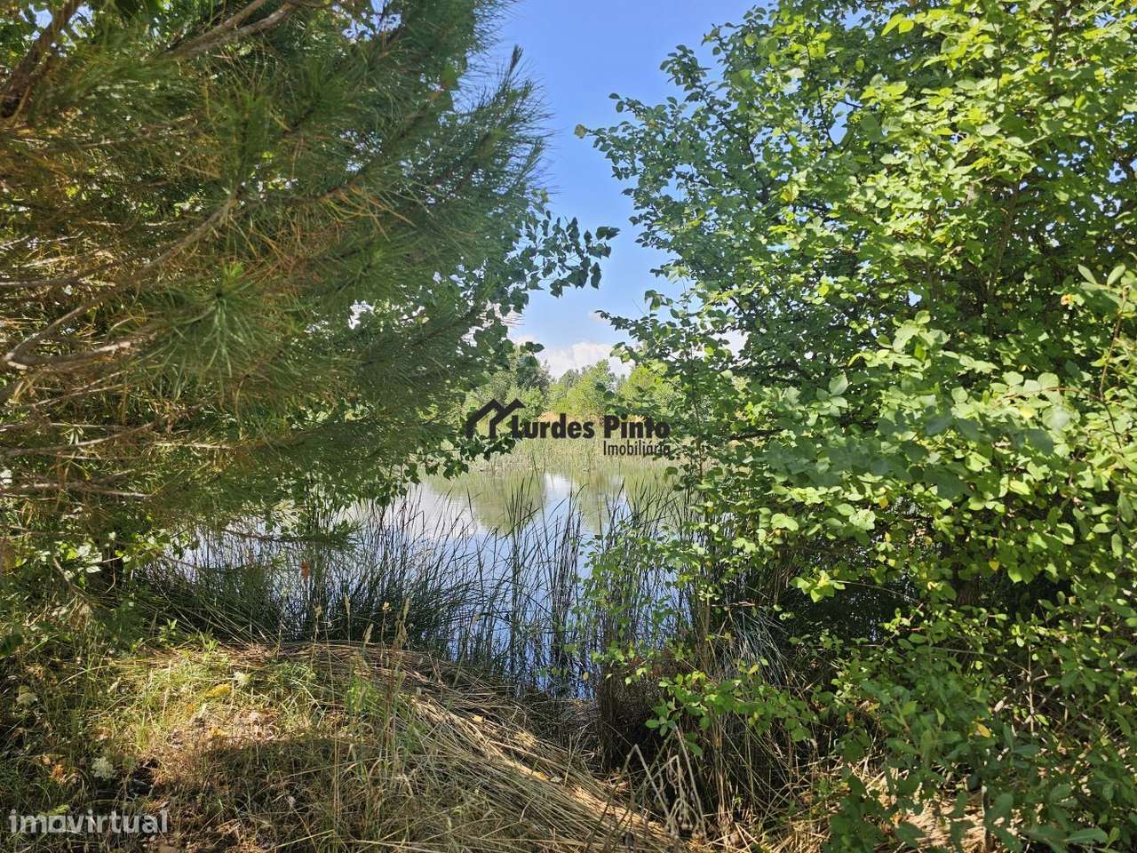 Quinta com habitação-26