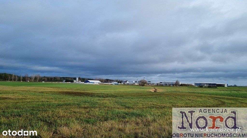 Działka, 12Ha, Augustów, Tranport, Usługi, - Pełny obrazek: 5/17