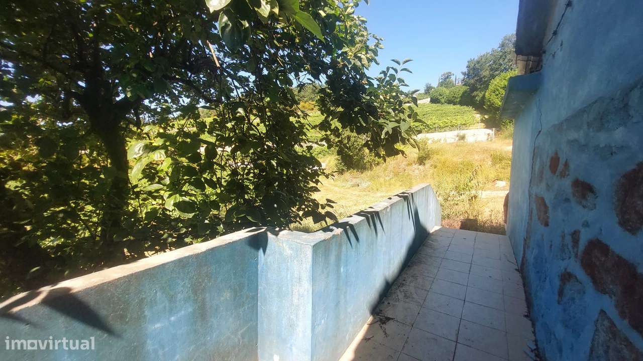 Várias casas para recuperar em terreno com exploração viticula - Grande imagem: 4/12