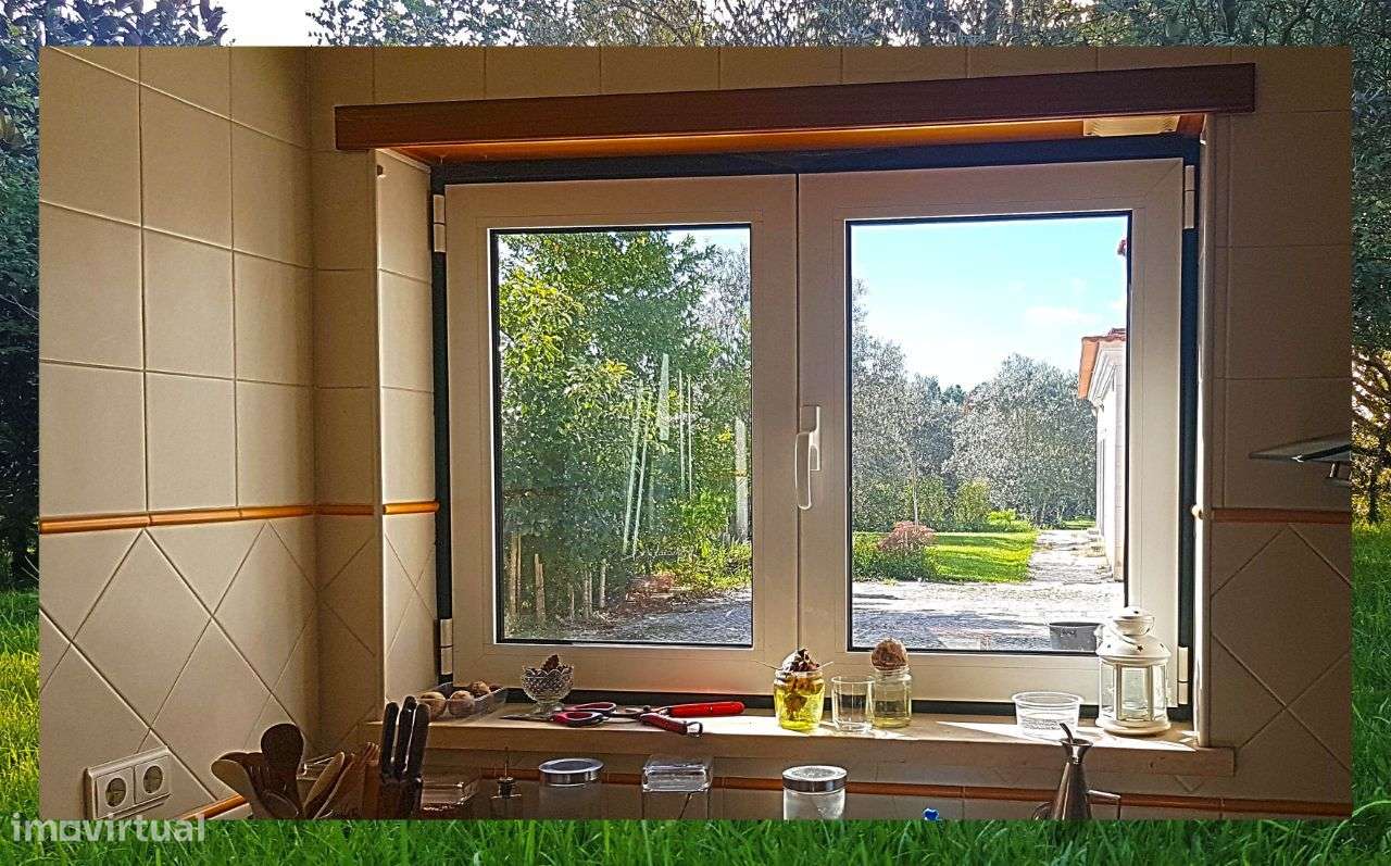 Quintinha com Mata secular-24