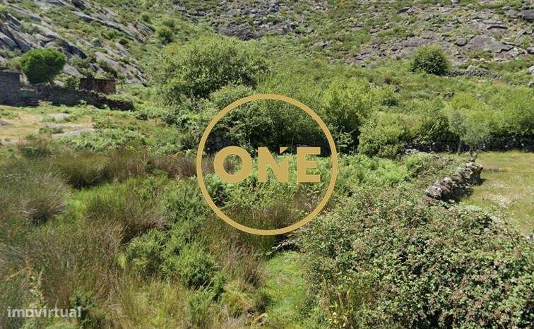 Terreno de Cultivo no Cerquido – Estorãos - Grande imagem: 2/3