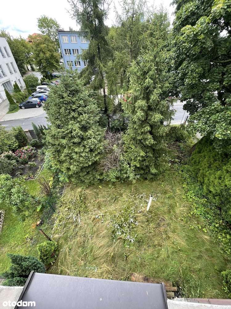 Kamienica w centrum miasta z dużym potencjałem - Pełny obrazek: 4/8