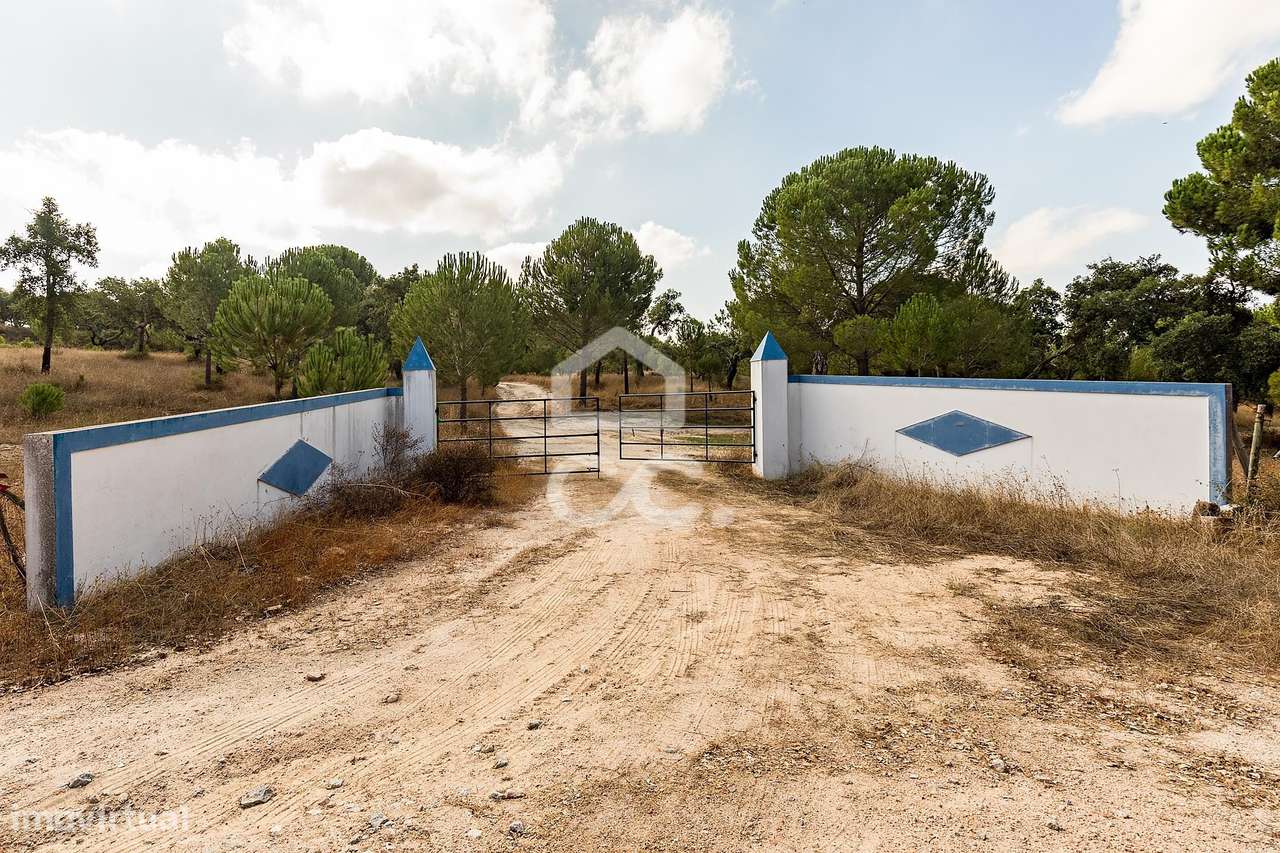 Herdade de 71,7 ha c/ Barragem e Casas de Apoio Agrícola | Mora - Grande imagem: 2/51