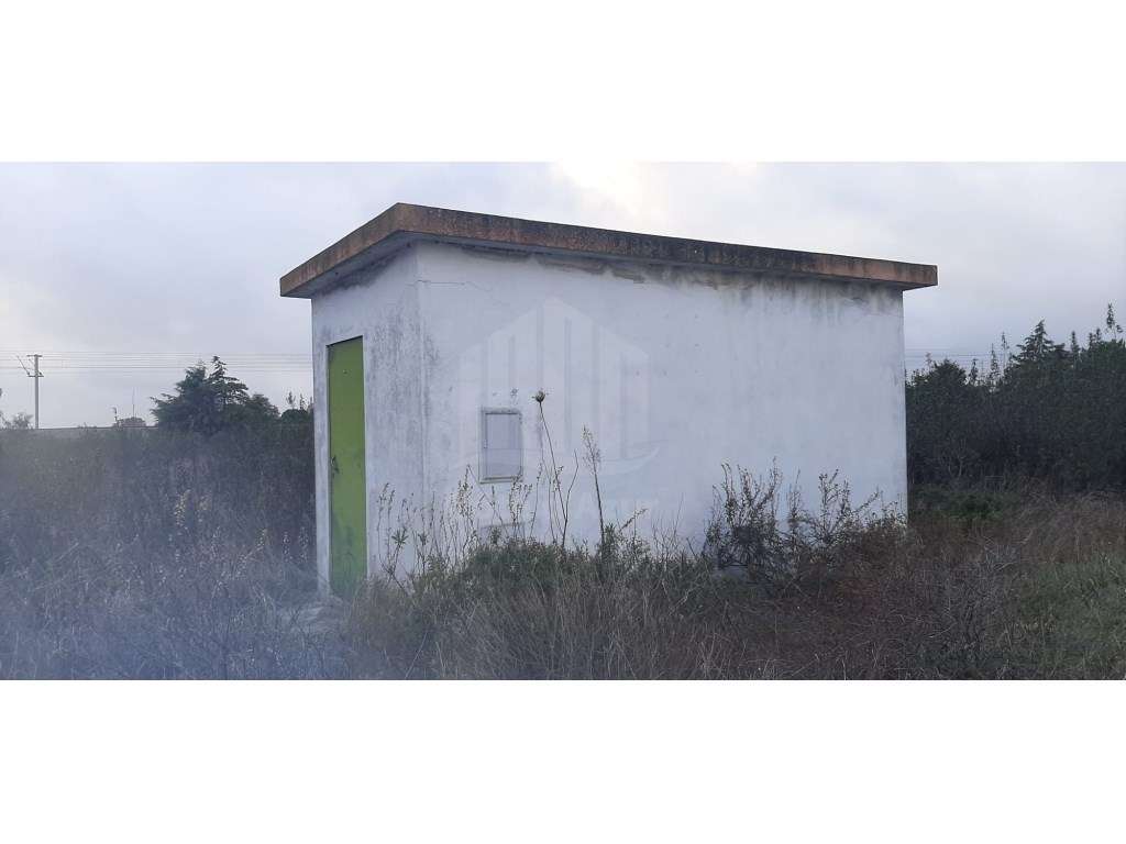 Terreno com 15.000 m² em Plena Natureza na Região de Palmela-12