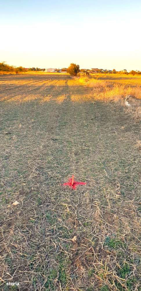 Eforie Sud, Teren 1608mp.D=50m./32m.1km.distanta de Mare-12