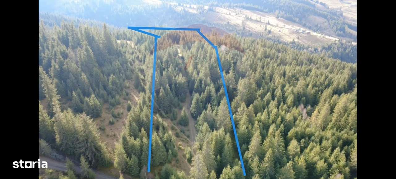 Teren 17,895mp Dorna-Arini / Prelungirea Cozănești - Imagine principală: 2/7