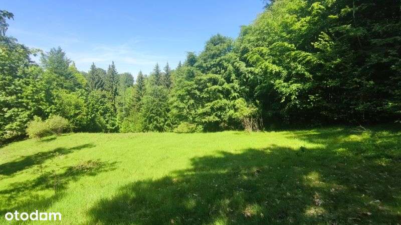 Karkonosze, Jagniątków, JG , dla inwestora 3 ha - Pełny obrazek: 5/11