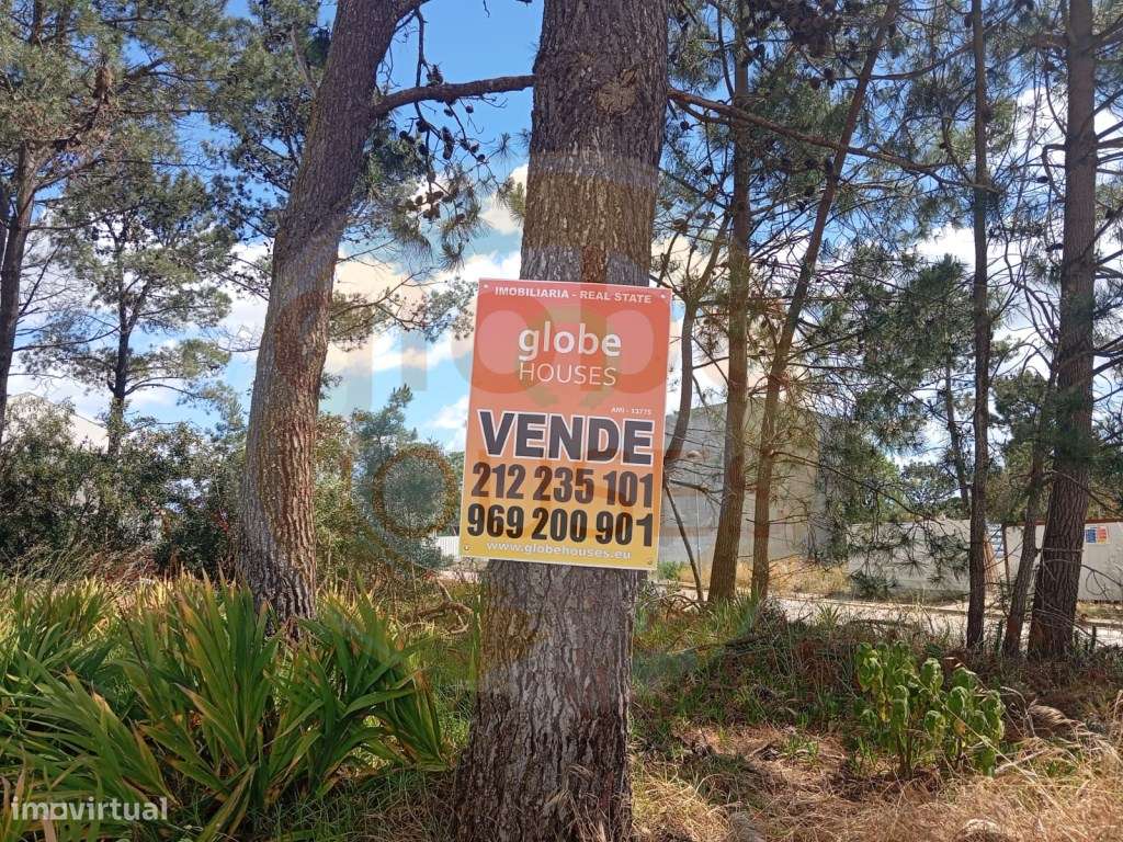 Lote de Terreno para construção de Moradia T4-10