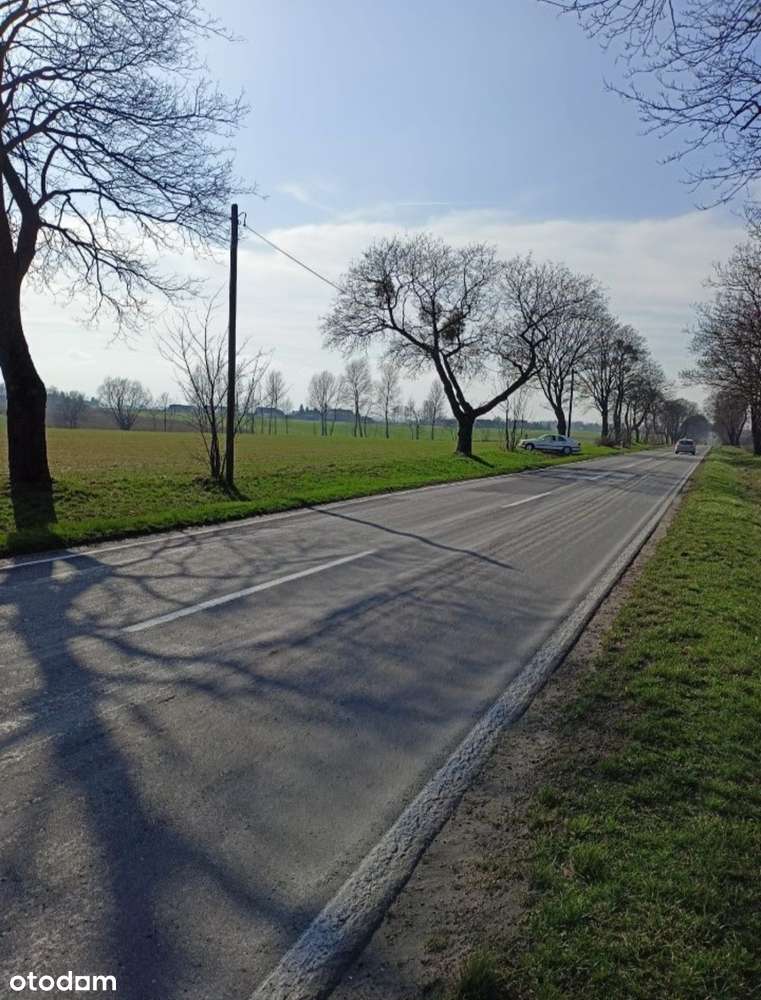 Działka pod obiekt produkcyjny / magazyn / skład / zabudowę usługową - Pełny obrazek: 4/6