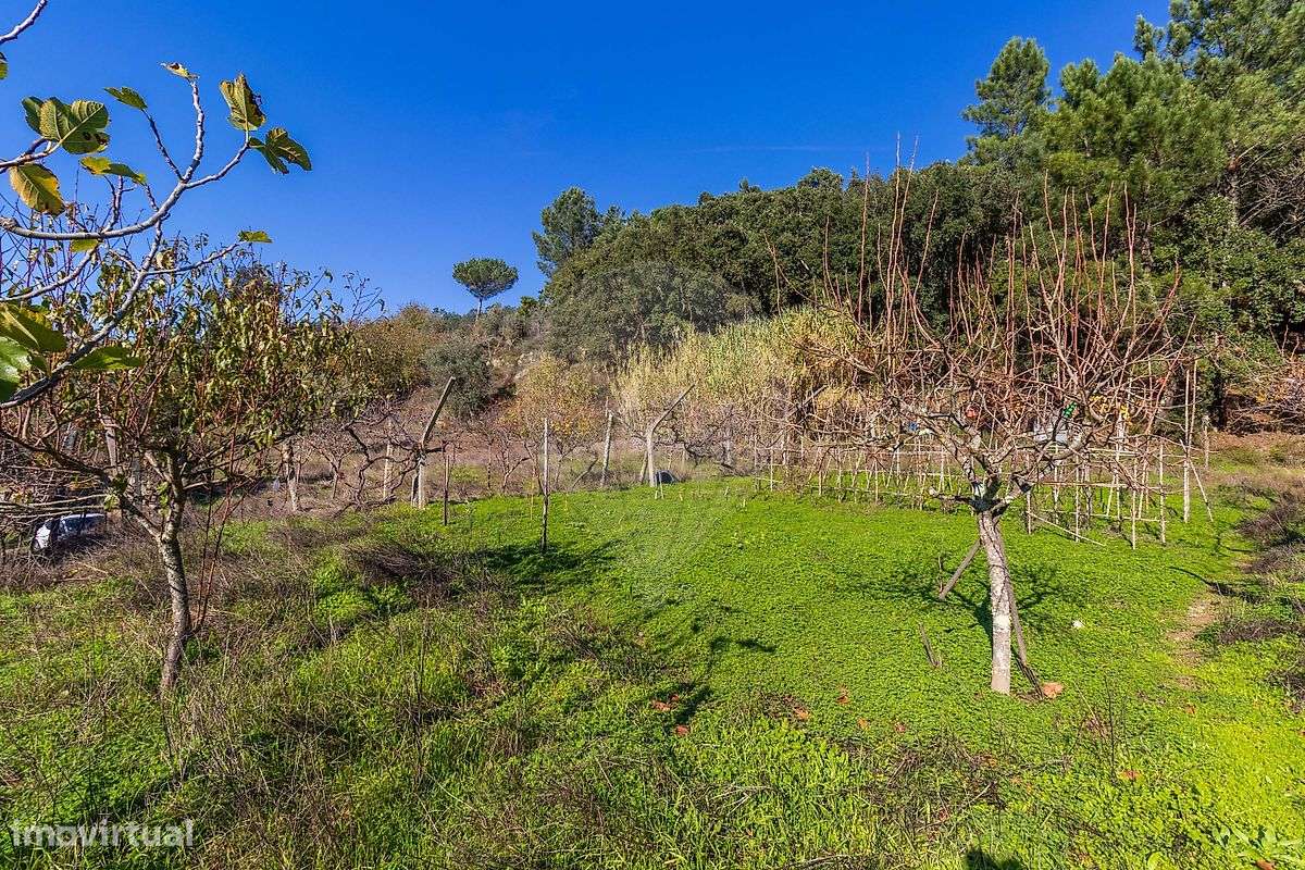 Terreno  para venda-12