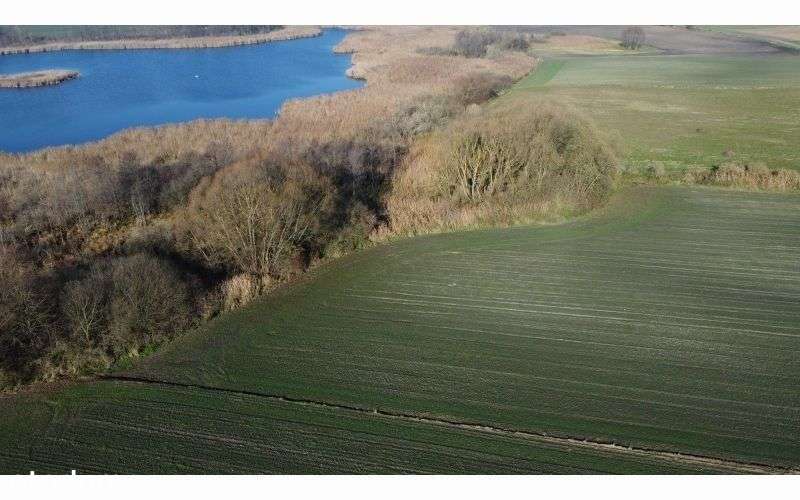 Działka, 3 523 m², Sumówko - Pełny obrazek: 3/11