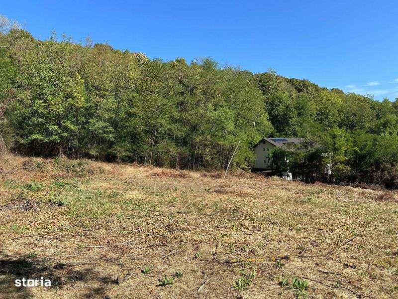 Teren 3.600mp intravilan + 10.000mp padure - 7km de centrul Rm Valcea - Imagine principală: 5/7