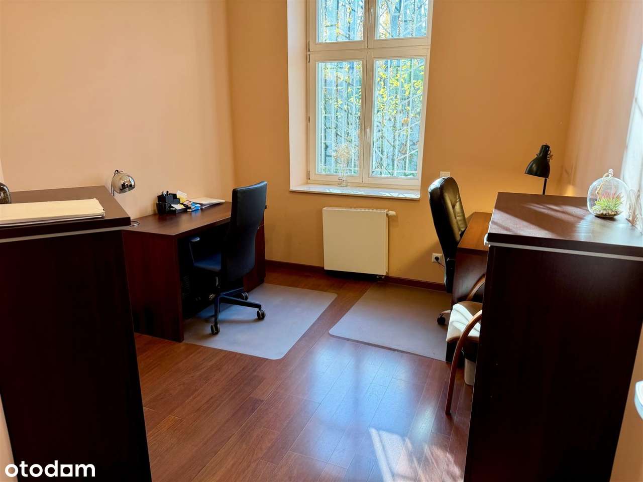 Kancelaria, gabinet, biuro - ul. Jaracza, Centrum-18