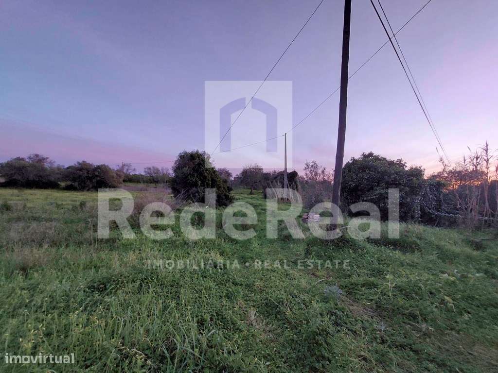 Casa Antiga T3 Venda Faro-12