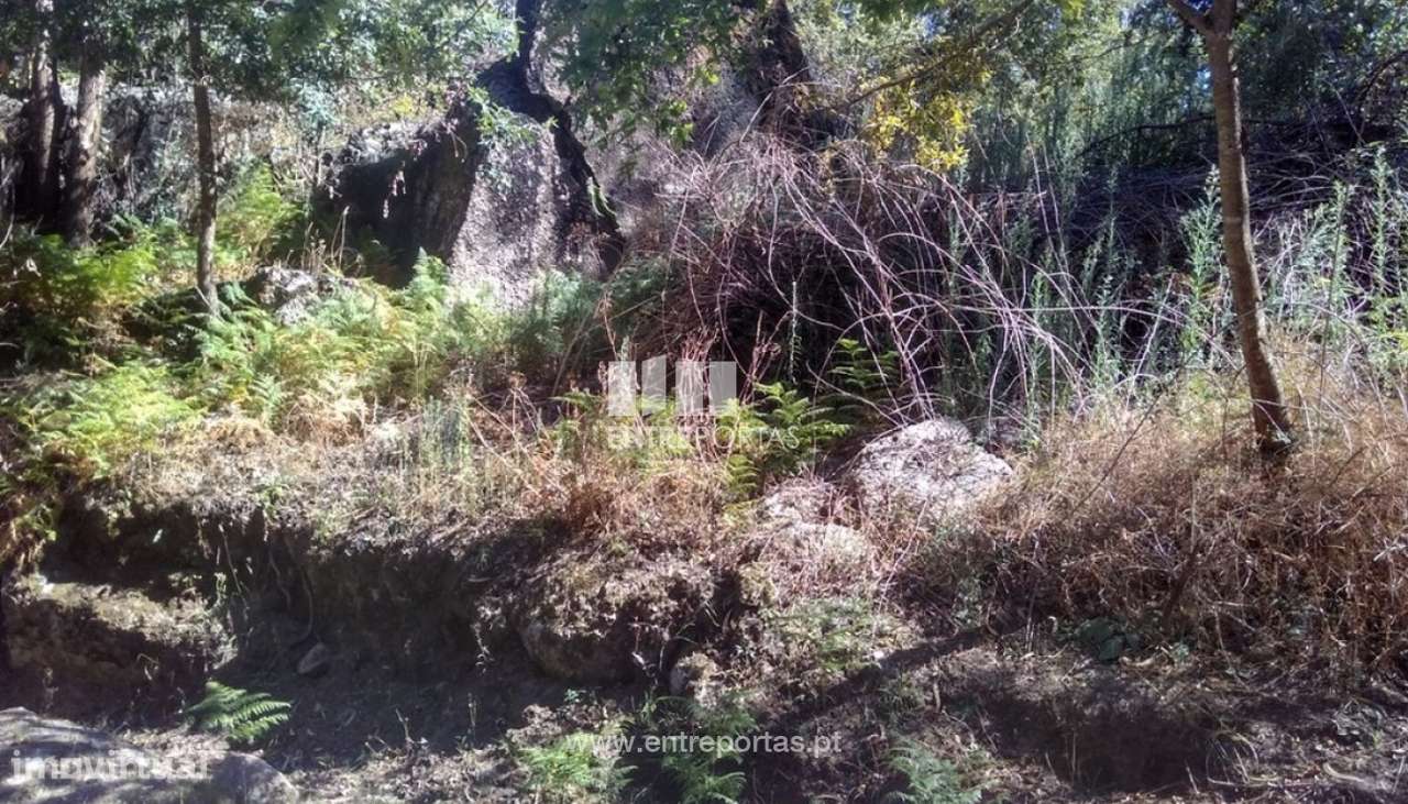 Venda Terreno, Soalhães, Marco de Canaveses - Grande imagem: 5/8