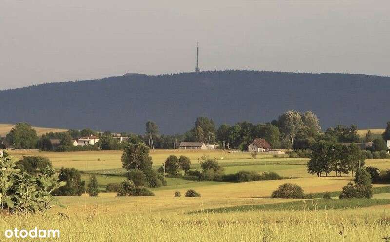 Dom+b. gospodarcze+duża działka-15
