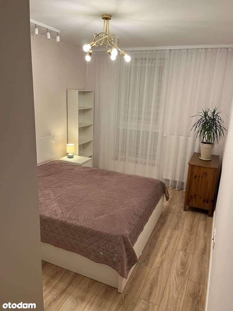 Do wynajęcia mieszkanie w wysokim standardzie, C. Monteverdiego - Pełny obrazek: 5/13